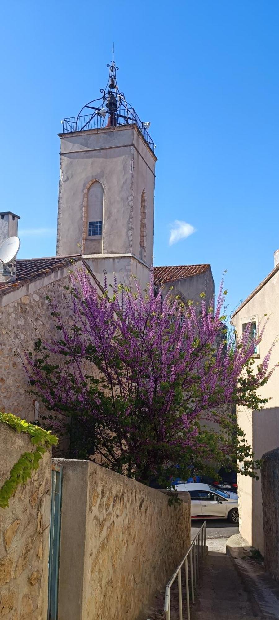 Gite La Capelle Roquefort Des Corbieres Sigean Narbonne Aude Εξωτερικό φωτογραφία